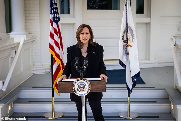 Vice President Kamala Harris has gained quiet support from some billionaires