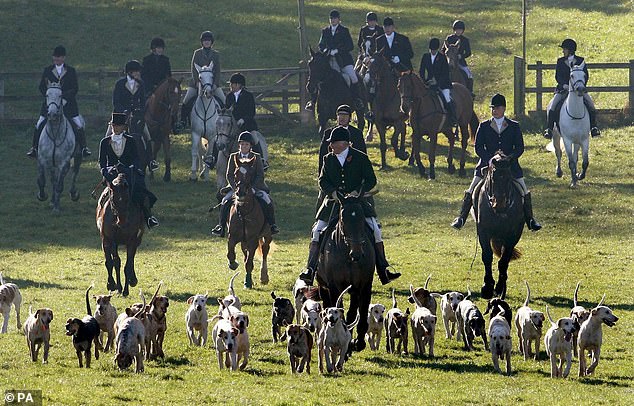 Captain Ian Farquhar leads the dogs along Worcester Avenue before Beaufort Hunt