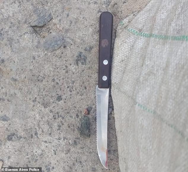 Authorities recovered the kitchen knife with which Natacha Palavecino allegedly murdered her boyfriend