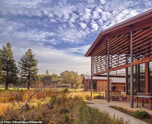 The city's cash reserves are rapidly depleting, driven by rising costs, including those of a new sheriff's contract and California's affordable housing requirements. In the photo, the Portola Valley Library