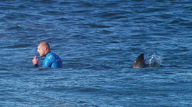 Surfing great Mick Fanning (pictured shortly before being attacked by a shark in South Africa in 2015) is another addition.