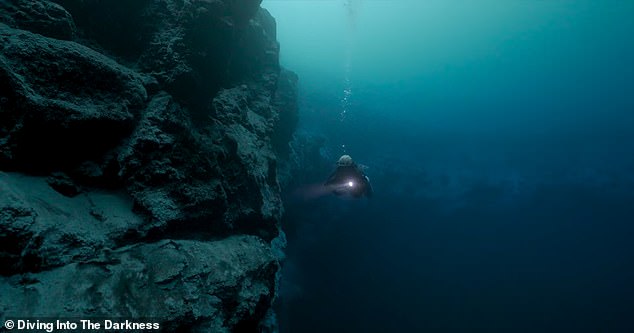 The diver said she had dived to the iceberg's location in Antarctica twice before nearly losing her life.