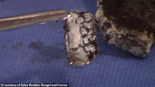 Above: 'The metal implant,' as Correa explained from Mexico on Wednesday, 'looks like aluminum and tin: a very light alloy (...) However, it is not possible to confirm what type of metals it contains until it is subjected to metallurgical analysis