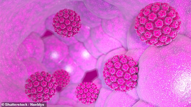 Getting HPV has been shown to increase the risk of several types of cancer, including cervical, oral, anus, penile, and vaginal cancers.