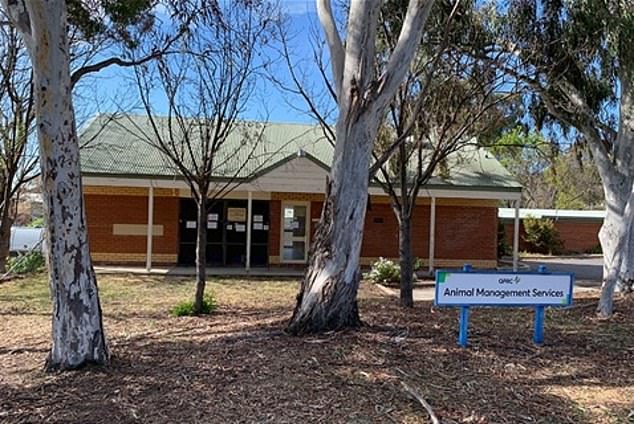 The dogs were euthanized at Queanbeyan Animal Management Center (pictured) and the center is now closed while staff carry out a deep clean.