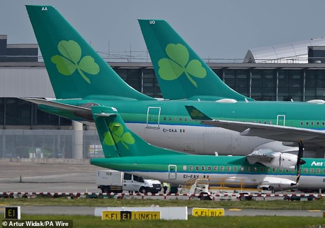 Upon learning of the alleged assault, the Aer Lingus pilot turned the plane back to Shannon (File Image)