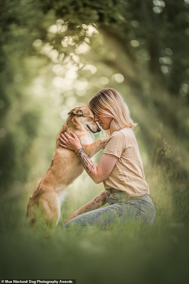 Moa Näslund from Sweden won third place in the Dogs and People category of the contest with this photograph titled 'Silent Connection'