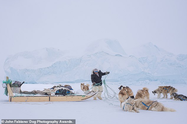 John Fabiano from the USA took first place in the Documentary category with this 'Greenlandic Flat Tire' photo. It was taken during a snowstorm in Siorapaluk, the world's northernmost indigenous village, and features Greenlandic Huskies.