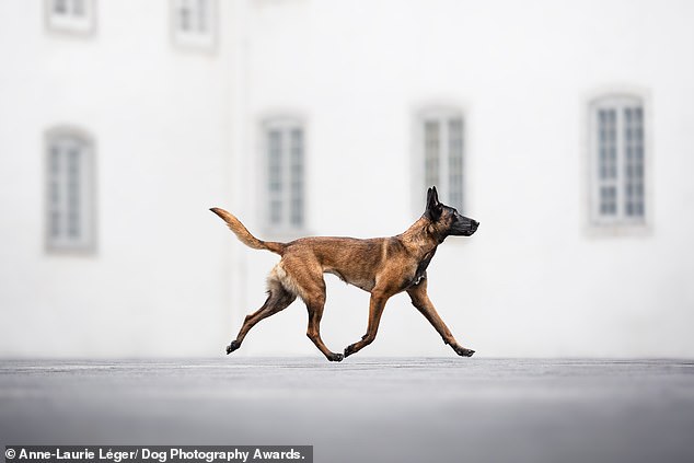 Anne-Laurie Léger from Canada obtained third place in the Action category with this photo