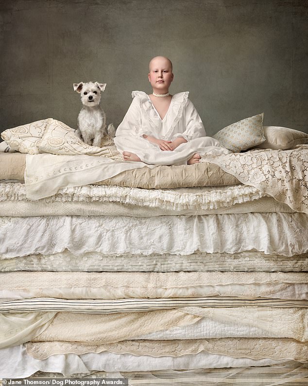 'The Princess and the Pea': Jane Thomson from Canada took first place in the Dogs and People category. The image celebrates the strength of the hospital's young and brave patients.