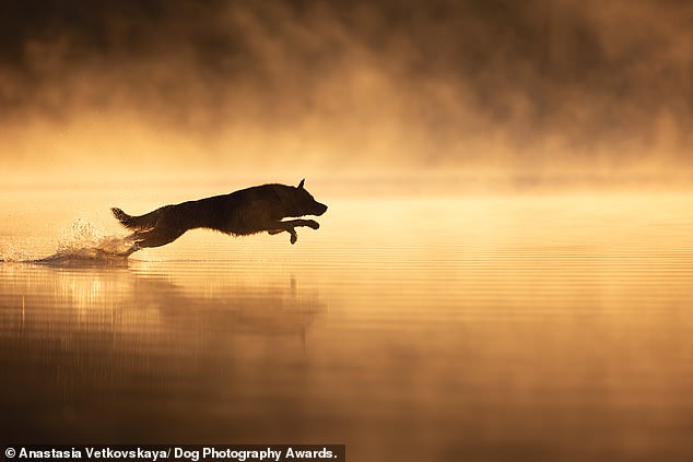 Anastasia Vetkovskaya from Russia took second place in the Action category with this 'Energy Explosion' photo