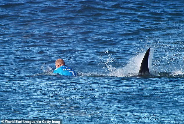 Fanning is also aware that he cheated death following an encounter with a great white shark in Jeffreys Bay in South Africa in 2015 (pictured).