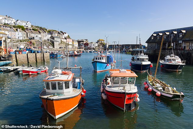 Under the post-Brexit UK-EU trade deal, 25 percent of the EU's total existing quota in UK waters will be transferred to the UK over a five-and-a-half-year transition period until 2026.