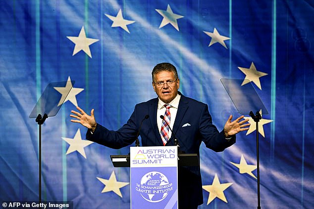 Maros Sefcovic speaks during the opening of the 8th Austrian World Summit in Vienna in June