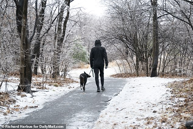 A dog walker in Central Park in February 2022. Locals were divided over the proposed law: One compared the law to parents taking time off to care for children and another described it as a 