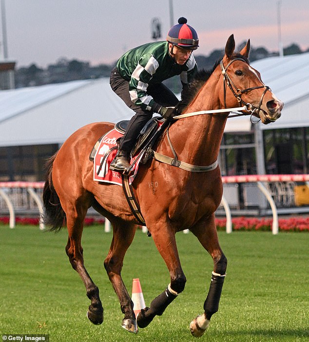 Superstar jockey James McDonald, who will ride Via Sistina (pictured), is chasing his 100th career victory in Group One.