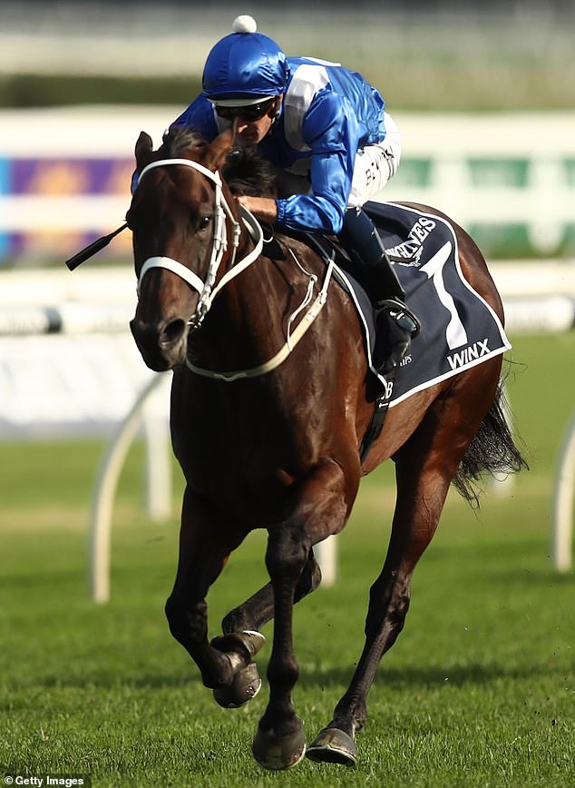 Champion mare Winx won the Cox Plate a record four times (pictured, with jockey Hugh Bowman)