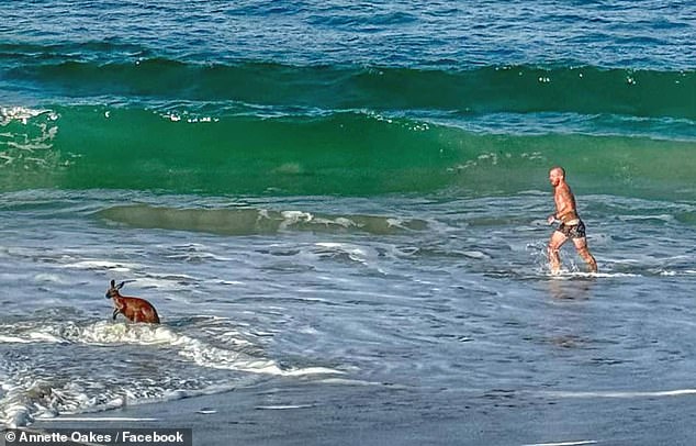 Local Anette Oakes took photographs of the 'surf rescue' and posted them on her local community group.