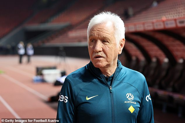 Interim coach Tom Sermanni has a lot of work to do to reverse the Matildas' poor run of form dating back to before the Paris Olympics.