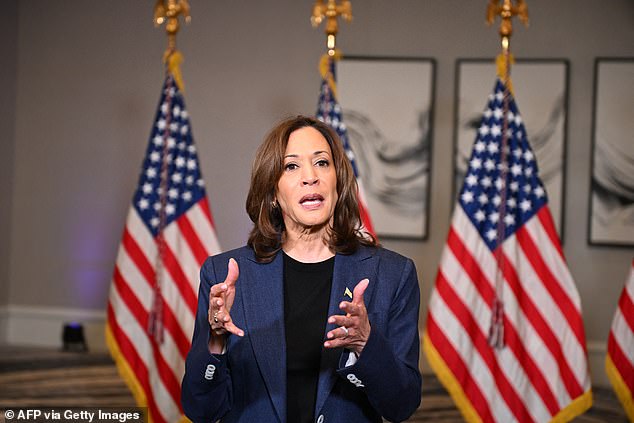 Vice President Kamala Harris speaks to reporters at a Houston hotel before her Friday rally.