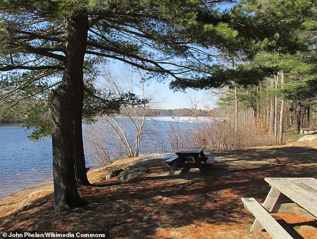 Days after his arrest, Elijah's remains were found at Ames Nowell State Park in Abington, Massachusetts.