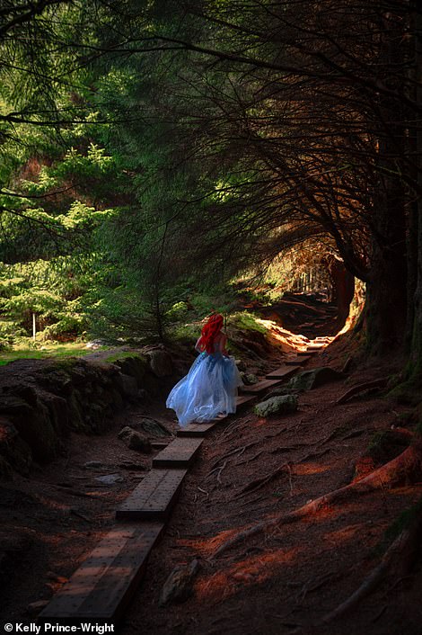 BALLINASTOE WOODS, IRELAND (ABOVE): 