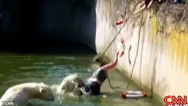 As the woman tries to escape her situation, one of the bears pushes her back into the water.