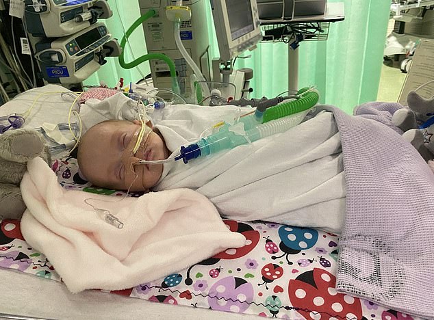 Baby Molly in the hospital fighting sepsis and pneumonia