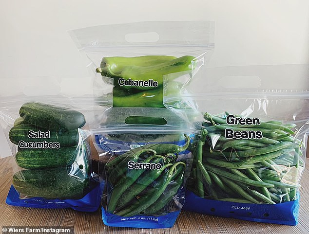 Wiers Farm voluntarily recalled some of its whole and bagged salad cucumbers sold at Walmart in Michigan, Indiana and Ohio in July over concerns they may have been contaminated with listeria.