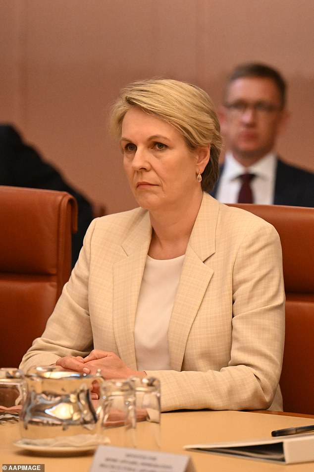 Tanya Plibersek was handed the Environment portfolio, in what was widely seen as a sidelining of one of Albanese's rival factions.