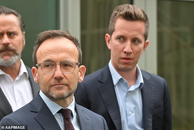 Two Greens seats in Brisbane could go to Labor and the LNP respectively as counting resumed on Sunday after Saturday night's election, which could spell trouble for three federal seats held by the party in overlapping urban electorates (pictured Greens leader Adam Bandt and MP Max Chandler -Mother)