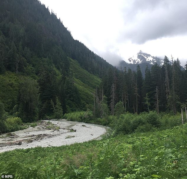 The Chilliwack River Trail is known as a tough five-mile hike that can tax even the most experienced visitors.