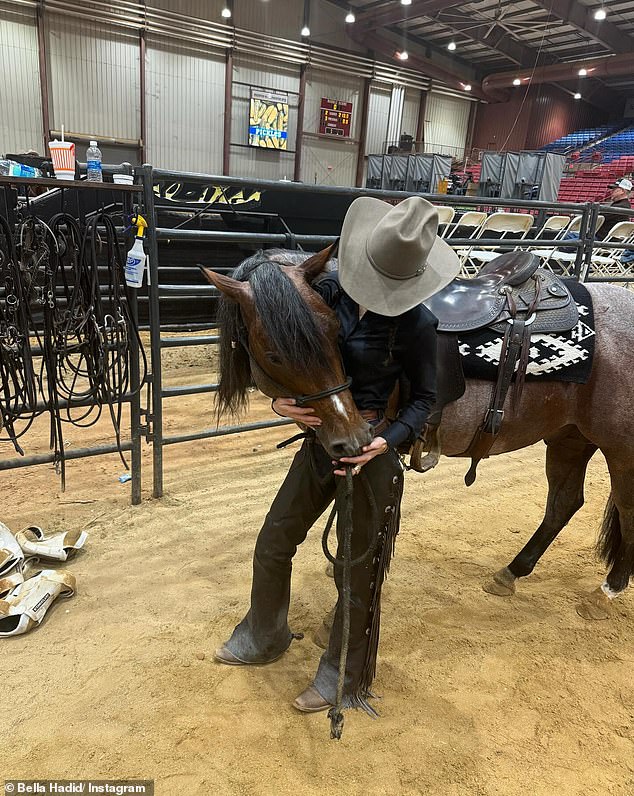 This year, the Southern Cutting Horse Futurity was held October 18-26 in Jackson, Mississippi.