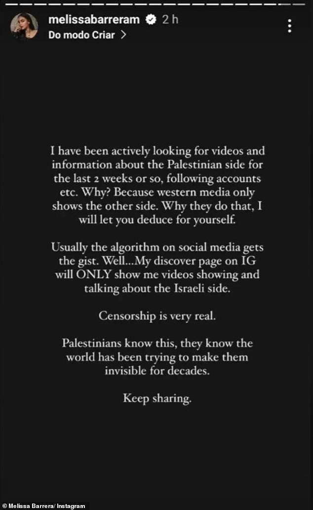 Another post complained that they had been looking for videos from a Palestinian perspective to share, but couldn't find any on their feed.