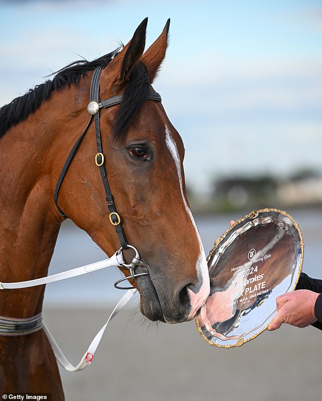 Via Sistina also broke the record in her eight-body demolition job, recording a time of 2.01.07 that broke the record set by Winx in 2017.