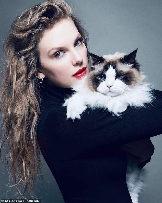 One party store said 'cat lady' costumes are flying off the shelves: 'Nothing comes close, not even Taylor Swift.'