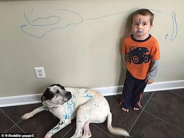 Doodles for everyone: a boy left blue marks on the wall, the dog and, of course, his own face