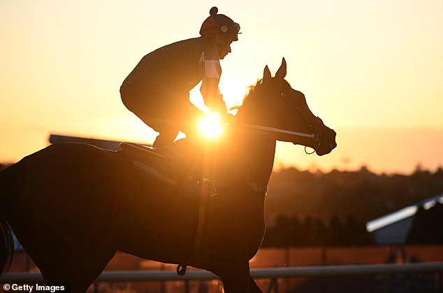 Via Sistina has recovered well from the Cox Plate by all accounts