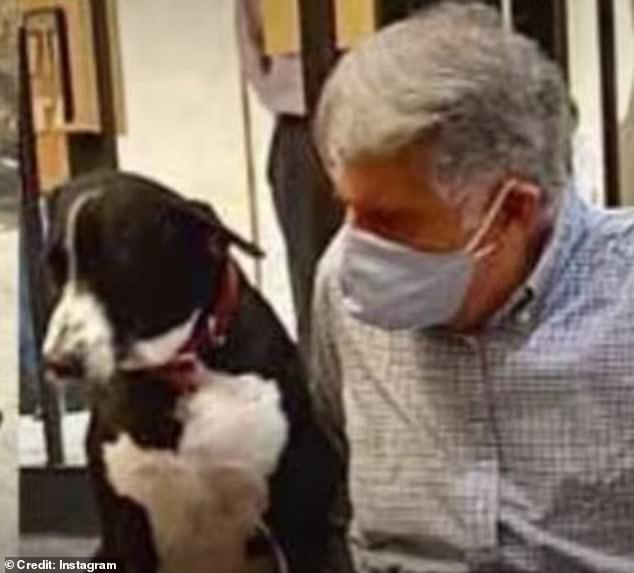 The will is in keeping with Mr Tata's lifelong love of animals, and doormen at Tata Group headquarters were instructed to never turn away a stray animal (pictured with his dog, Goa).