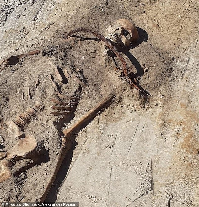 The remains of a vampire immobilized on the ground with a sickle on her throat and a toe padlocked to prevent her from returning from the dead have been found in a village in Poland