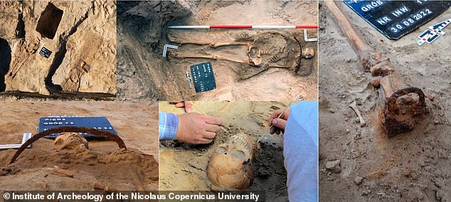 Professor Polinski and his partner plan to return to Pien for more excavations, including a nighttime one in which fluorescent lamps will be used to uncover new bones.