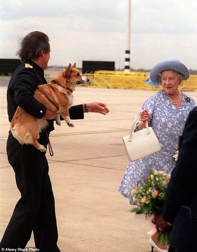 The Queen Mother was one of the many victims bitten by her daughter's corgis (Pictured: The Queen Mother with a Royal Household footman while carrying her corgis, at Heathrow Airport in London in 1990)