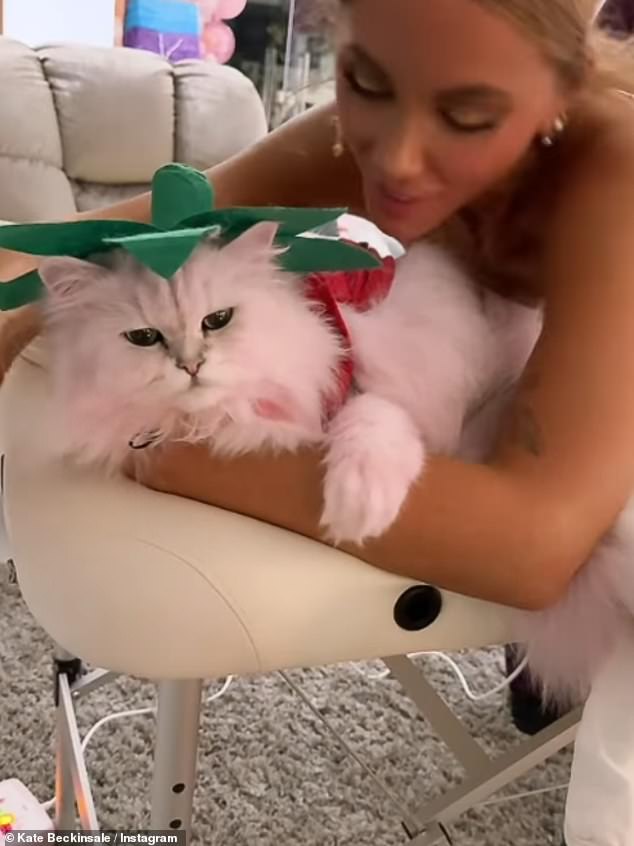 In another clip, she dressed the cat as a strawberry while she lay naked and gave herself a massage.