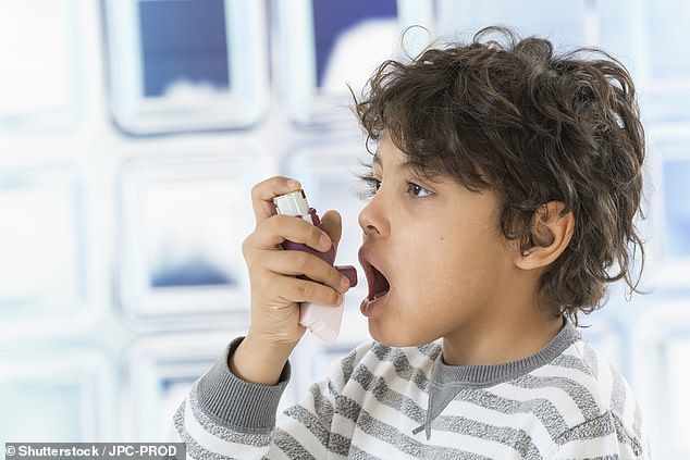 Researchers also estimated that exposure to pollutants emitted by gas cooking contributes to nearly 370,000 cases of childhood asthma across Europe.