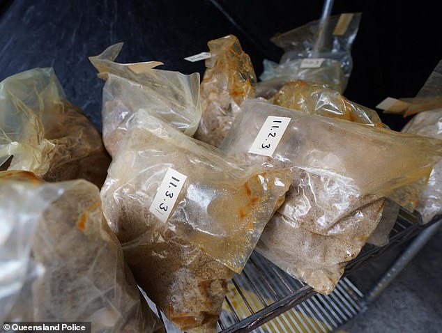 The police replaced the MDMA, which was in powder form, with jaggery before the sting.