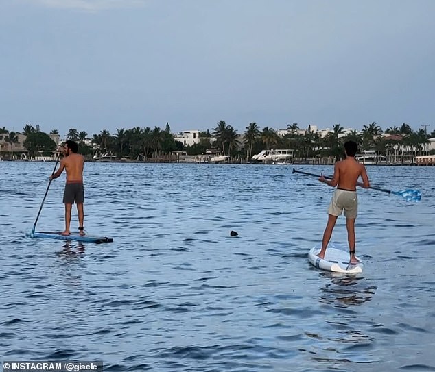 The jiu-jitsu instructor is pictured rowing with Bundchen's son, Benjamin.