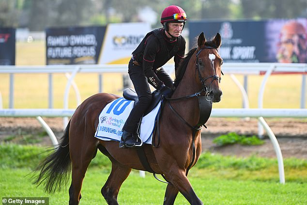 The Irish driver (pictured on the Werribee track) had no injury problems before failing a test administered by Racing Victoria, his connections say.