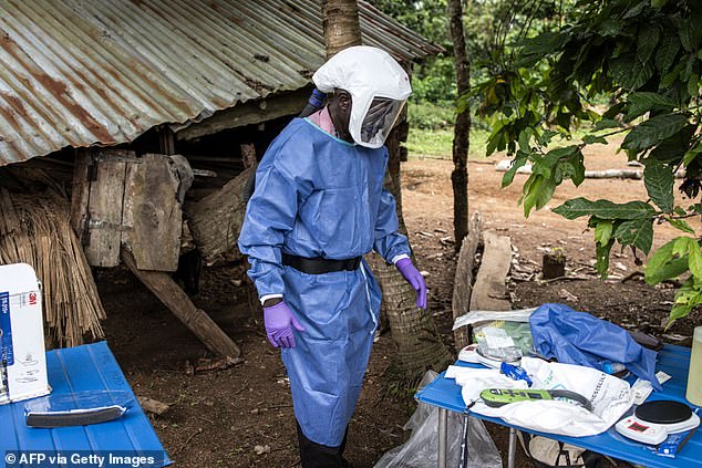 Researchers are seen studying Lassa fever in June of this year. The viral disease is endemic in several West African countries and is transmitted by rodents.