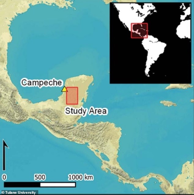 The Mayan city was discovered near Campeche in Mexico and covers approximately 21 square miles.