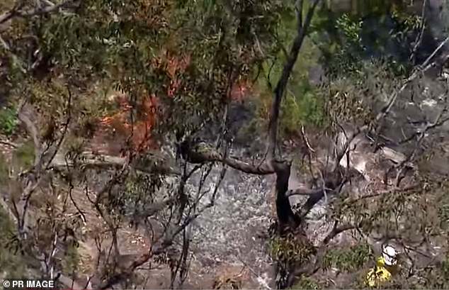 A Jabiru plane collided in mid-air with a yellow Cessna 182, killing three people (pictured, a firefighter extinguishing the wreckage)